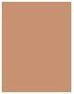 Actual product image Rimmel London Lasting Finish Powder Foundation (006 Rose Vanilla)