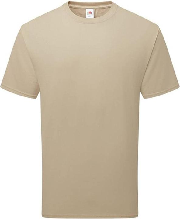 Actual product image Fruit of the Loom Unisex Adult Cotton T-Shirt (L)