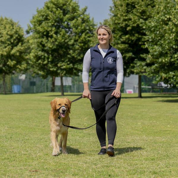 Immagine prodotto Company of Animals Halti Black Kopfgeschirr 4 (Cane, Sport cane)