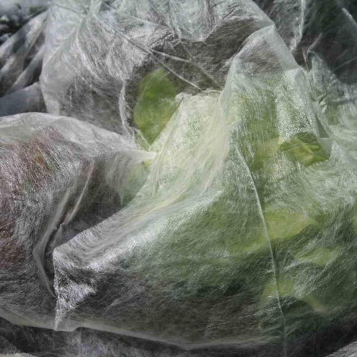 Actual product image Siena Garden Cold frame fleece