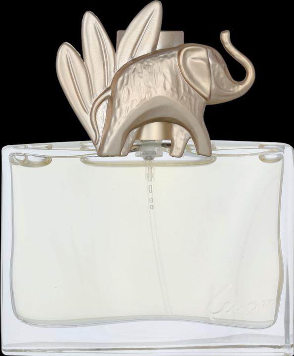 Produktbild Kenzo Jungle Edp Spray (Eau de Parfum, 30 ml)