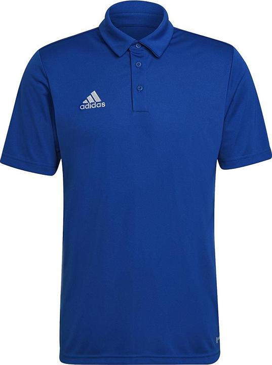 Royblu