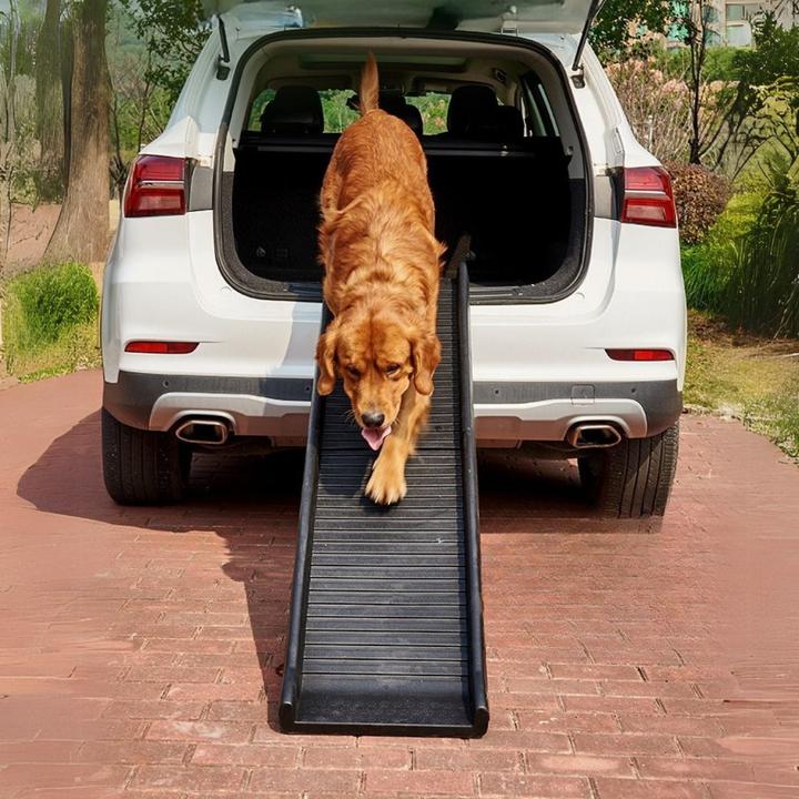 Actual product image Hermex Hunderampe Klapp-Rampe Einstieghilfe Aufstiegshilfe Tiertransport (Dog, Foldable)