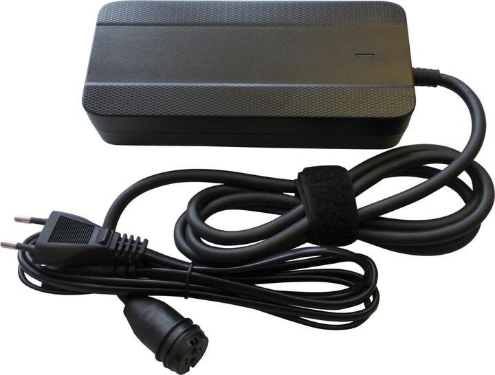 BiXS Simplo Ladegerät 220-240V, Frequenz 50/60Hz Ladegerät zu Snake Batterie (E-Bike Ladegerät)