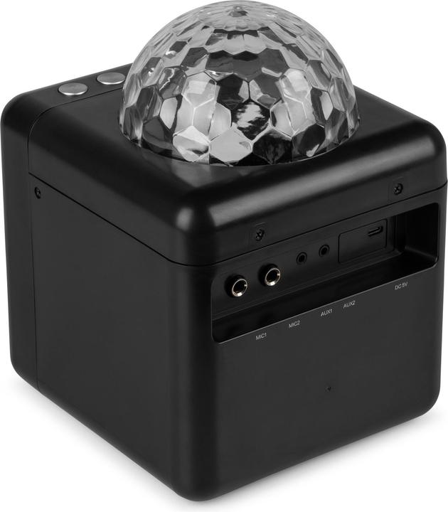 Immagine prodotto Fenton Altoparlante KAR15B con 2 microfoni (1x 15 W)