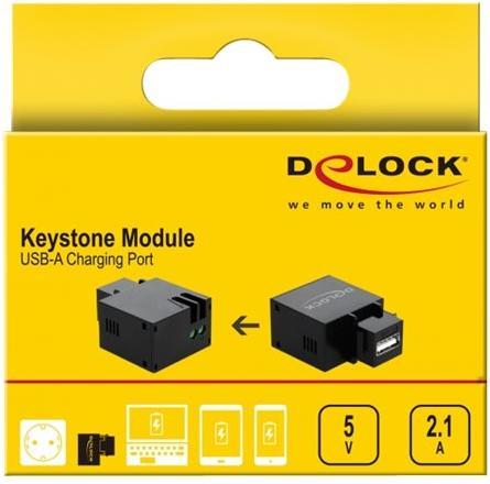 Image du produit Delock Keystone module