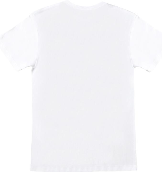 Actual product image Boys Hulk Pose T-Shirt (152, 158)