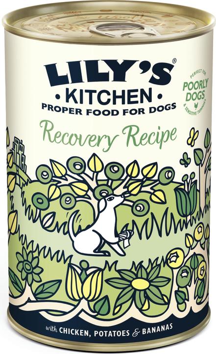 Actual product image Lily's Kitchen Recovery Recipe (Adult, 1 pcs., 400 g)