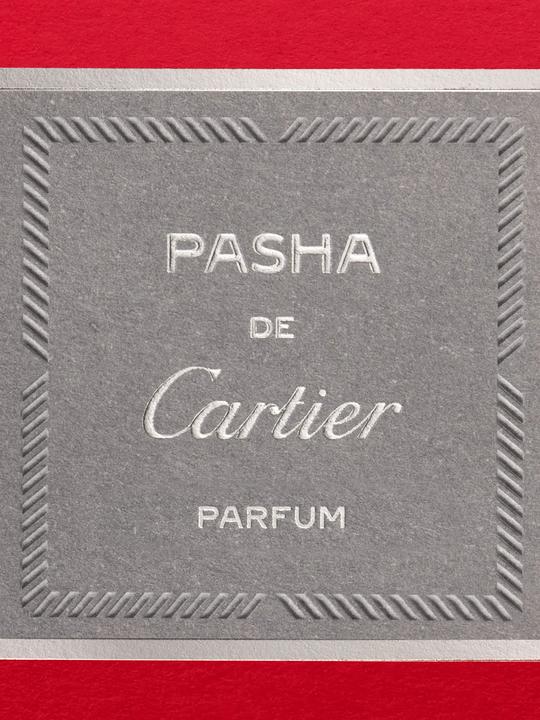 Immagine prodotto Cartier Profumo Pasha (Eau de parfum, 100 ml)
