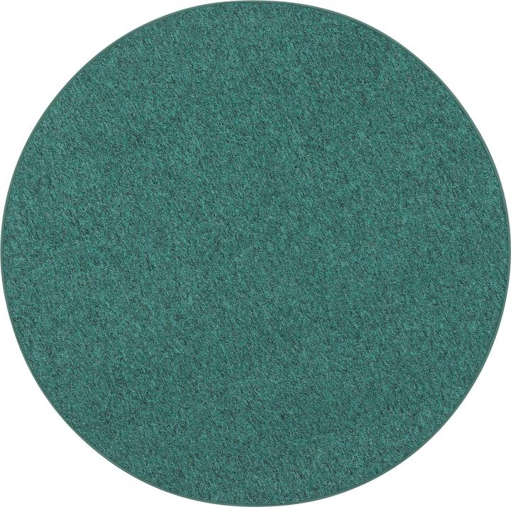 Image du produit Snapstyle Velours à boucles fines Tapis Strong (200x200 cm)