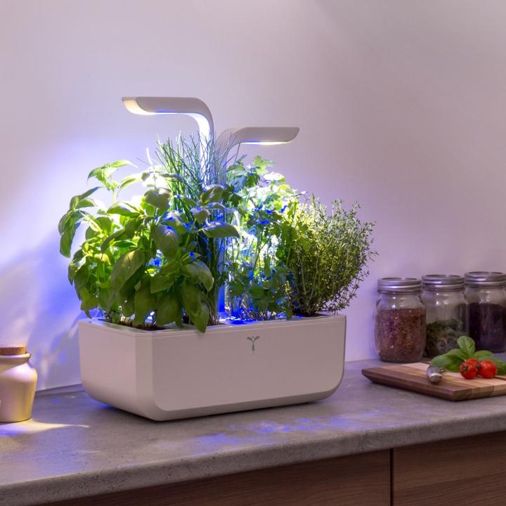 Image du produit Véritable Classic (18.50 cm)