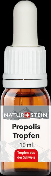 Actual product image Naturstein Propolis tincture (1 Piece, 41 g)
