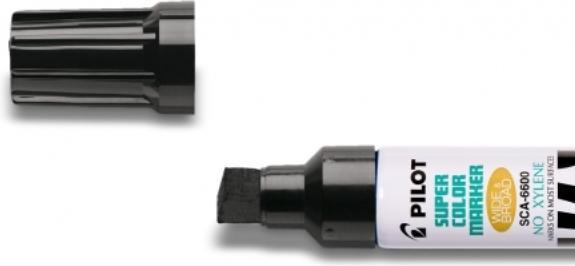 Actual product image Pilot 6600 Jumbo (Black, 12.50 mm, 1 x)