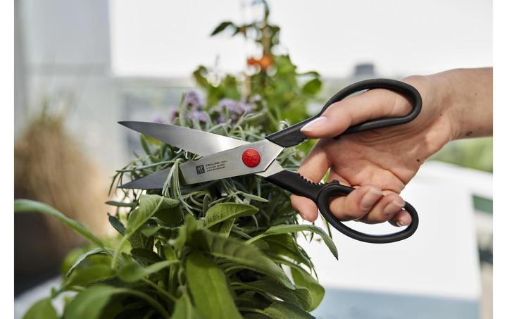 Produktbild Zwilling Twin L (23 cm)