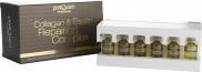 Produktbild Postquam Kollagen & Elastin Reparaturkomplex (12 Fläsch (3 ml)