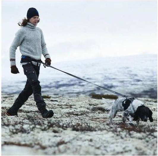 Actual product image Non-Stop Dogwear TOURING BUNGEE dog leash (XL, Dog, General)