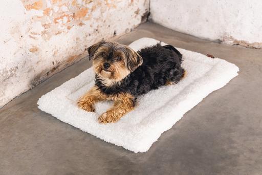 Actual product image Designed by Lotte Ligra (Dog)