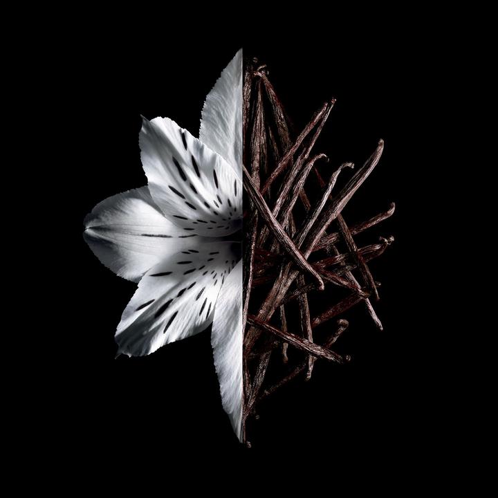 Image du produit Givenchy L’Interdit (Eau de parfum, 50 ml)