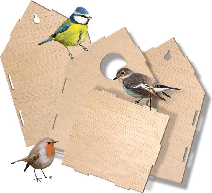 Actual product image Ses Vogelhäuschen Bauen