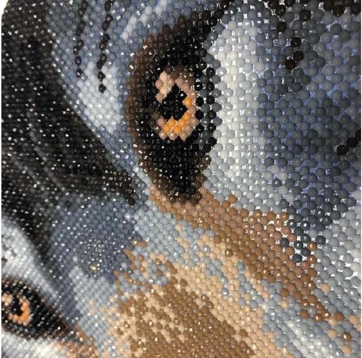 Actual product image Craft Buddy Wolf