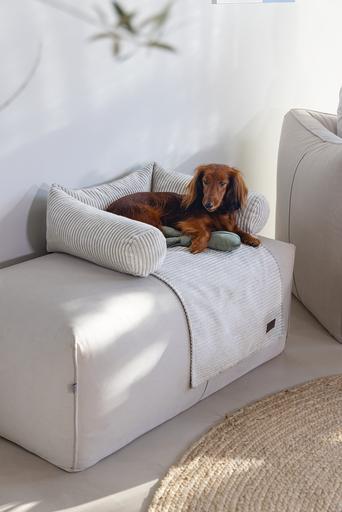 Produktbild Designed by Lotte Ribbed (Hund)