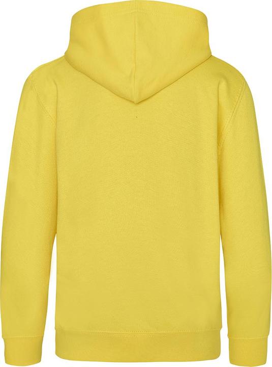 Actual product image Awdis Hooded jumper (98)