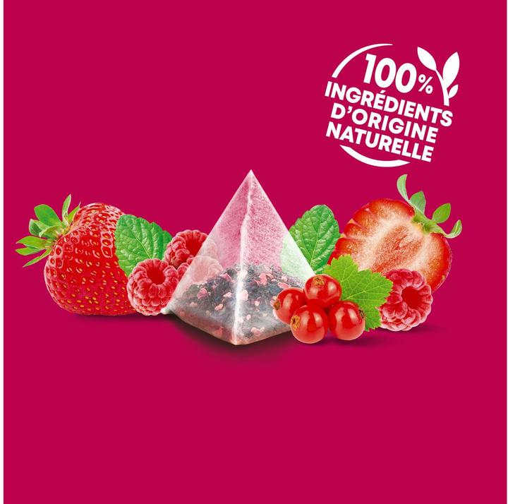 Image du produit Elephant Infusion Fruits Rouges (48 g)