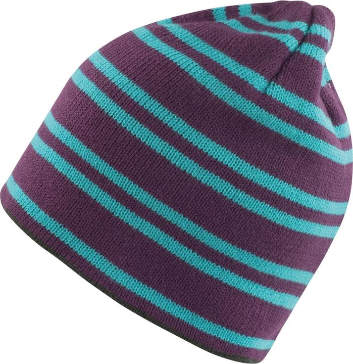 Actual product image Regatta Unisex Adult Team Reversible Beanie