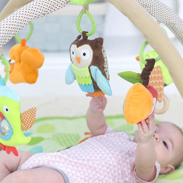 Actual product image Skiphop Treetop Friends Activity Gym
