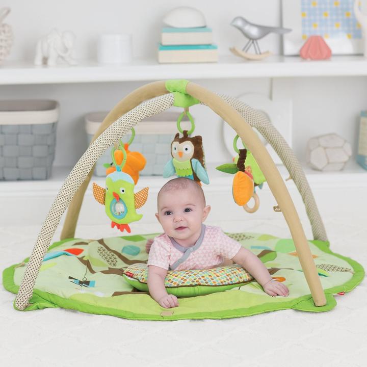 Actual product image Skiphop Treetop Friends Activity Gym