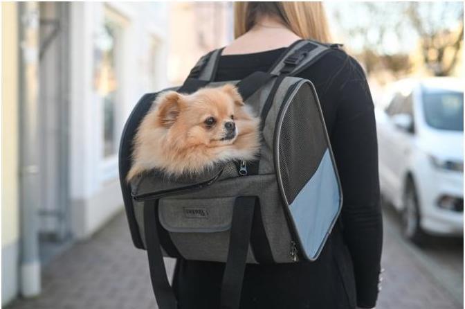 Immagine prodotto Kerbl Vacanza con zaino per cani (Cane, Riflettori, Lavabile in lavatrice)