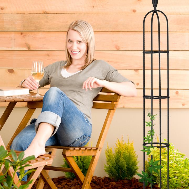 Image du produit Relaxdays 2x support pour plantes grimpantes (20 cm, 20 cm)