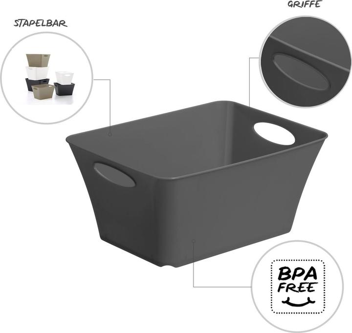 Actual product image Rotho Livingbox (21.6 x 13.5 x 29.5 cm, 5 l)