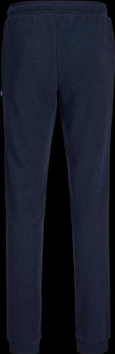Produktbild Jack & Jones JPSTELOGO SWEATPANTS 2COL 24/25 NOOS JNR (176)