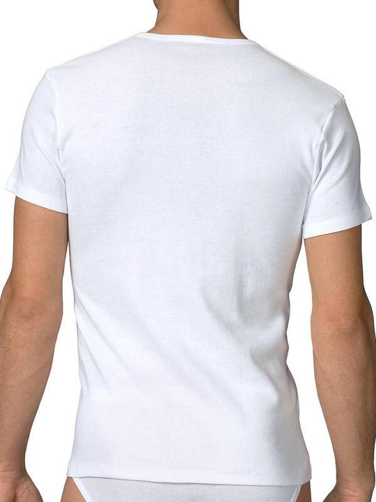 Actual product image Calida Cotton 1:1 (L)