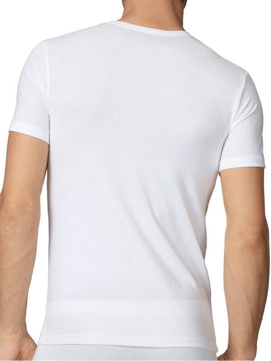 Actual product image Calida Evolution (M)