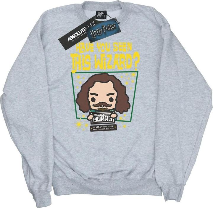 Sirius Black Azkaban Junior Sweatshirt