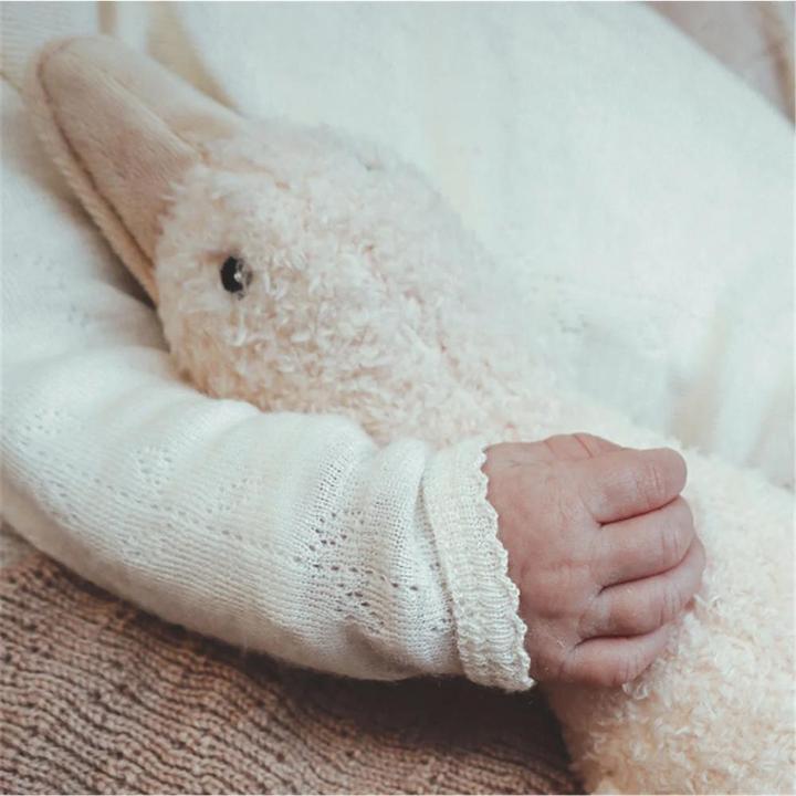 Image du produit Baby Born Comforter Livia