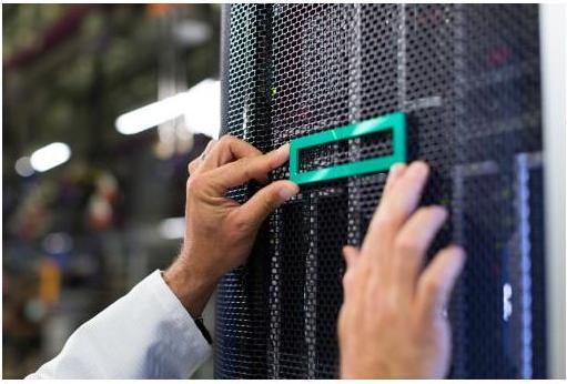Immagine prodotto HP Kit di abilitazione HPE ProLiant ML110 Gen11 NS204i-u