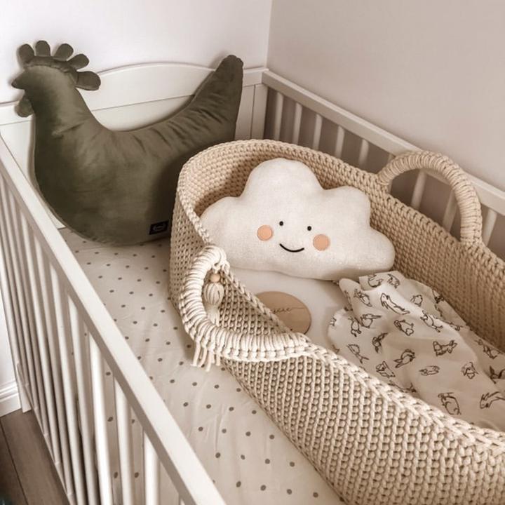 Actual product image Lil Things Couffin Moïse avec matelas