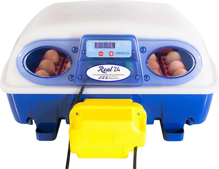 Borotto Incubateur automatique Real 2