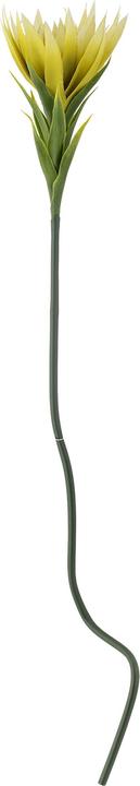 Actual product image Bloomingville Lily (76 cm)