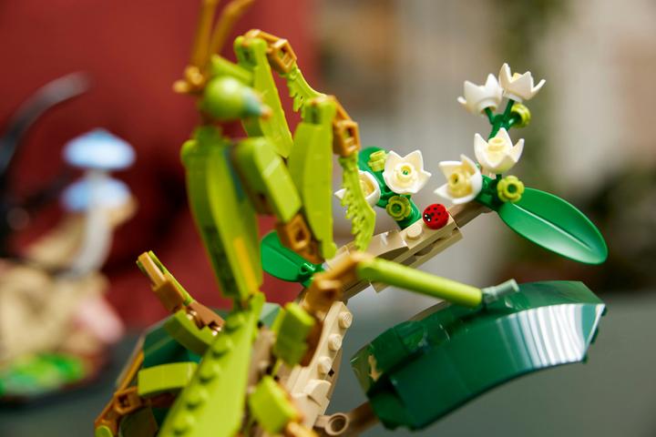 Immagine prodotto LEGO Idee La collezione di insetti (21342, LEGO Ideas)