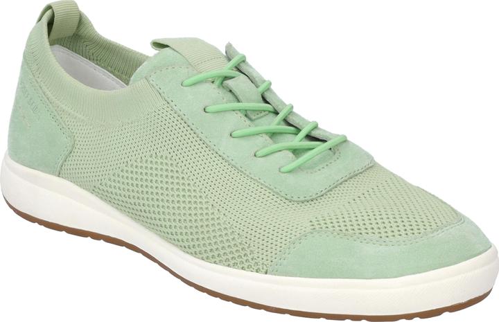 Verde menta