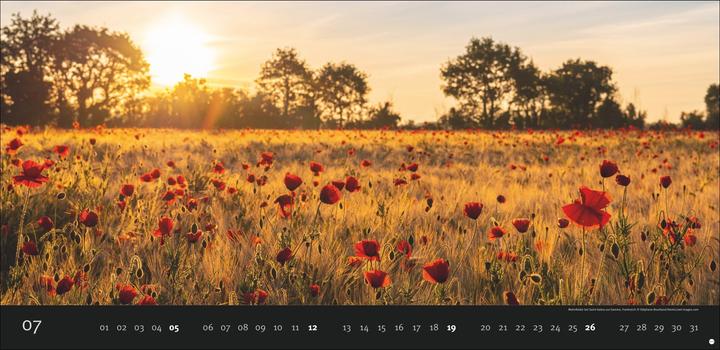 Produktbild Magic Moments Panoramakalender 2026 (68 x 33 cm, Harter Einband, Deutsch)