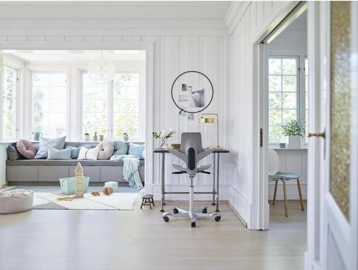 Actual product image HAG Office chair Capisco Puls 8010 Clay