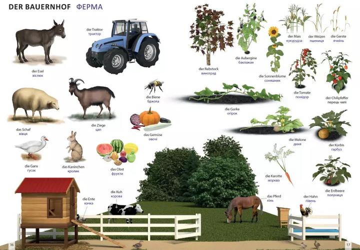 Produktbild Bildwörterbuch für Kinder und Eltern Ukrainisch-Deutsch (Ukrainisch, Deutsch, Igor Jourist, 2022)
