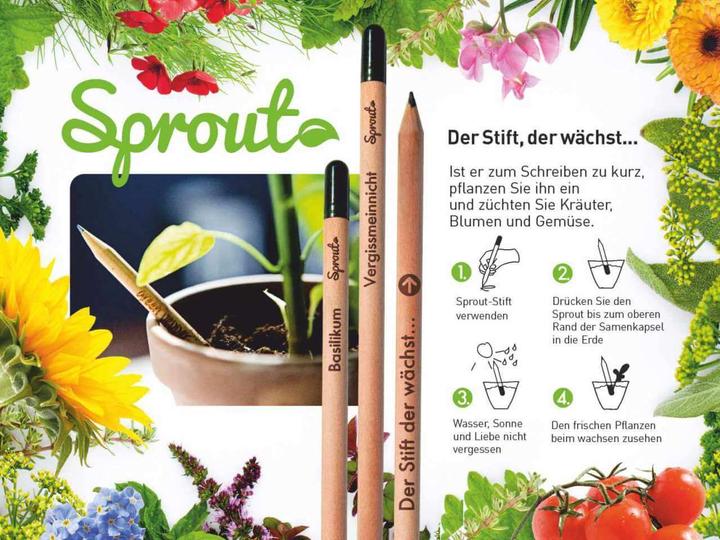 Actual product image Sprout Pencil with chia seeds (0.50 mm, HB, 1 x)