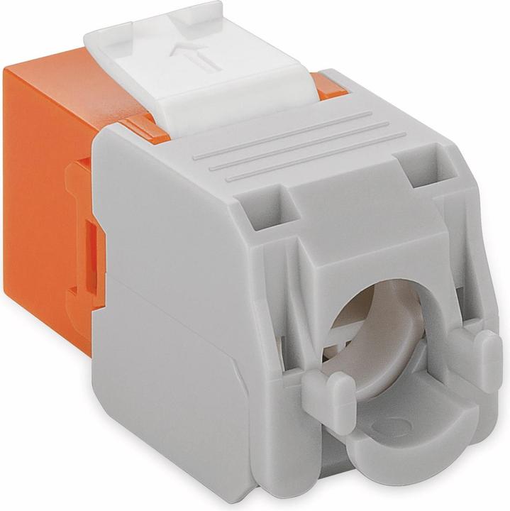 Actual product image Goobay CAT 6a KeyStone RJ45 Jack,unshielded, 500MHz, Orange-White (Keystone module)