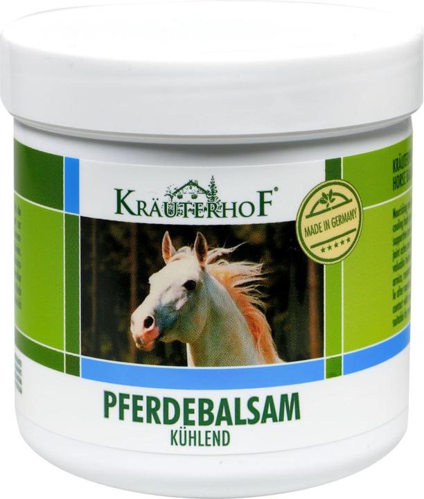 Axisis Pferdebalsam Kraeuterhof (Körperlotion, 250 ml)
